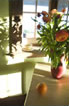 Still Life with Window View